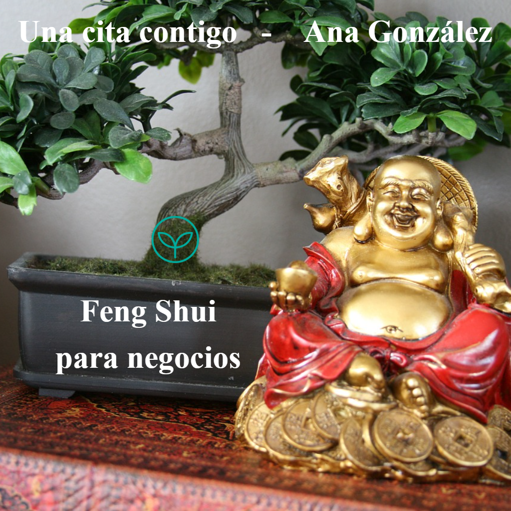 Episodio 78 - FENG SHUI PARA NEGOCIOS